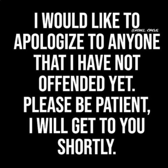 Sheer top, sooo cute! Ties above waist. Excellent Condition! - Picture 13 of 13